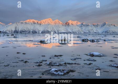 Morgenlicht, Berge, Schnee, Reflexion, Meer, Küste, Fjord, Winter, Lyngen Alps, Norwegen, Europa Stockfoto