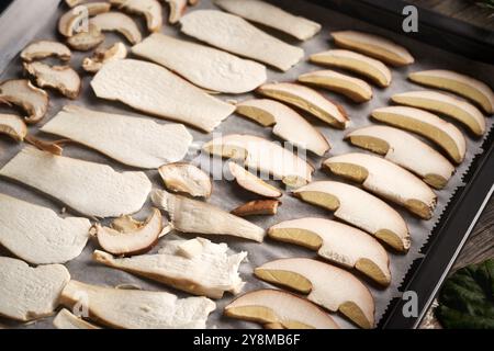 Trocknen von Schweinefleisch- oder Königspilzen auf einem Backblech Stockfoto