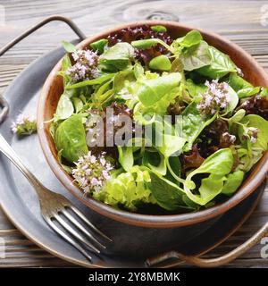 Ton Gericht mit Grün und Violett Salat, Salat Feldsalat Salat mit Oregano Blumen auf vintage Metall fach Gabel beiseite Stockfoto