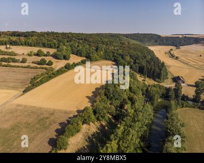 Getreidefelder sind im Spätsommer bereit für die Ernte Stockfoto