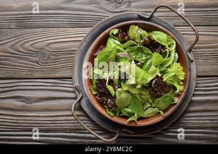 Draufsicht auf Lehm Gericht mit Grün und Violett Kopfsalat, Feldsalat Salat mit Oregano Blumen auf vintage Metall Fach Stockfoto