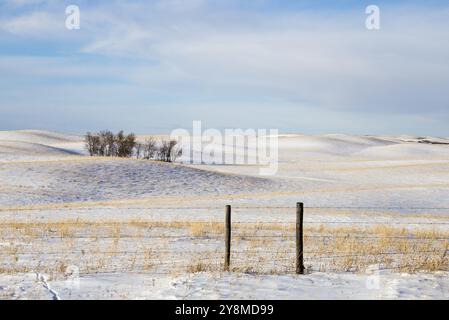 Prairie Landschaft im Winter Saskatchewan Kanada ländlichen Stockfoto