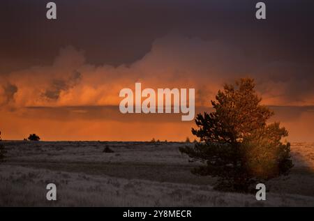 Cypress Hills Sonnenuntergang Elkwater Alberta Horeshoe Canyon Stockfoto