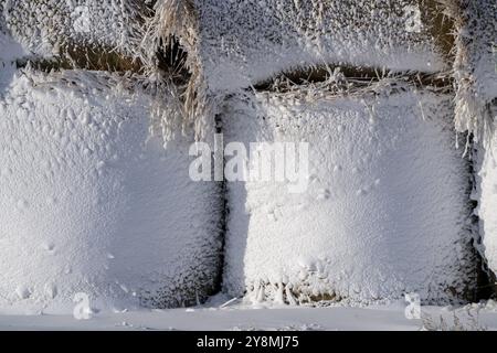 Saskatchewan Ebenen Winter extreme kalte Prärieballen Stockfoto