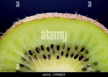 Kiwi Frucht Makro Studio gedreht Nahaufnahme grün Stockfoto