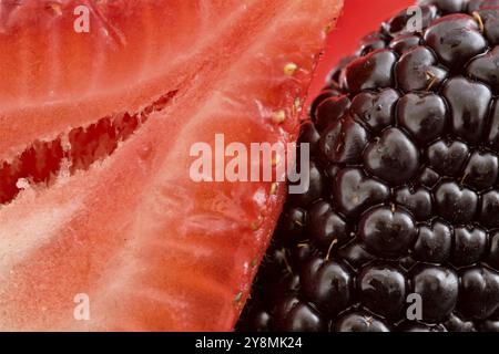 Erdbeere und Blackberry Nahaufnahme Makro-studio Stockfoto