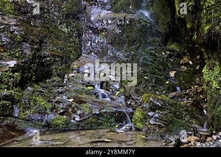 Wasserfall Picton Neuseeland üppigen Regenwald Stockfoto