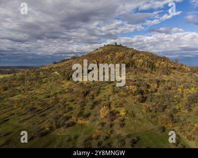 Obstgärten im Herbst Stockfoto