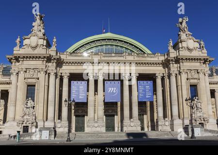 Grand Palais, Paris, Ile de France, Frankreich, Europa Stockfoto