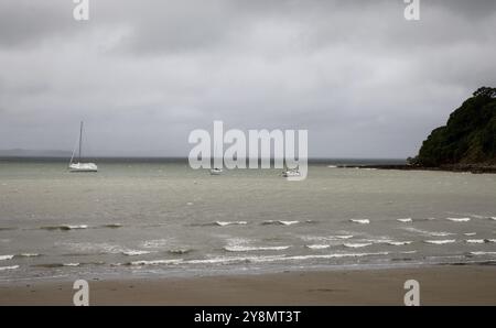 Stanmore Bay Neuseeland Strandort vorne Stockfoto