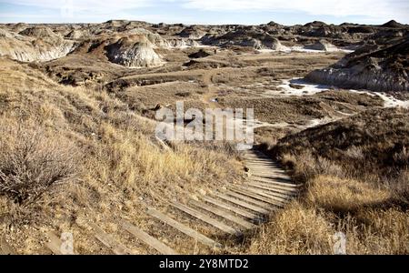 Badlands Alberta Drumheller und Dinasaur Park Kanada Stockfoto