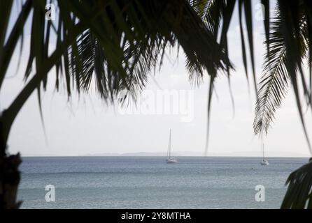 Stanmore Bay Neuseeland Strandort vorne Stockfoto