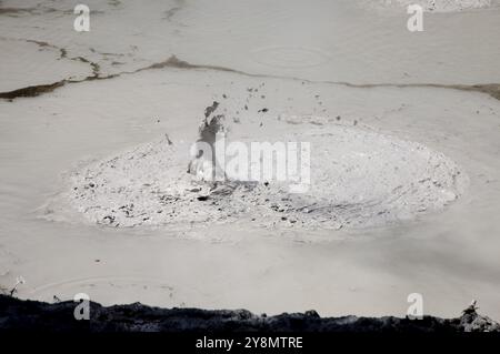 Rotorua Mud Pools Thermalgebiet New Zealand Stockfoto