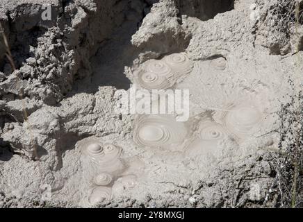 Rotorua Mud Pools Thermalgebiet New Zealand Stockfoto