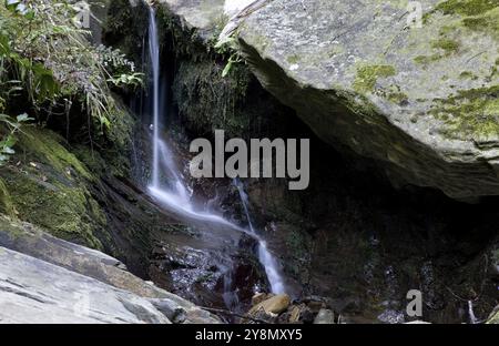 Wasserfall Picton Neuseeland üppigen Regenwald Stockfoto