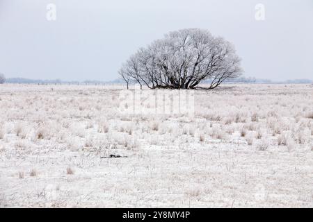 Saskatchewan Ebenen Winter extreme Kälte Prärie landschaftlich Stockfoto