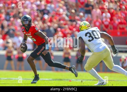 5. Oktober 2024: NC State P. CJ Bailey (16) wird von Jasheen Davis (30) verfolgt. NCAA-Fußballspiel zwischen der Wake Forest University und der NC State University im Carter Finley Stadium, Raleigh, North Carolina. David Beach/CSM Stockfoto