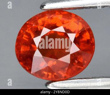 Exquisiter Naturgranat in leuchtendem Orange mit silberner Nadel und eleganten Akzenten. Stockfoto