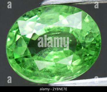 Exquisiter, Naturgrüner Edelstein Mit Oval-Schliff, Der Lebendige Lumineszenz Ausstrahlt. Stockfoto