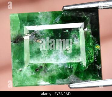 Radiant Green Natural Smaragdschliff Edelstein mit komplexen Inclusions und üppigen Farbvariationen. Stockfoto