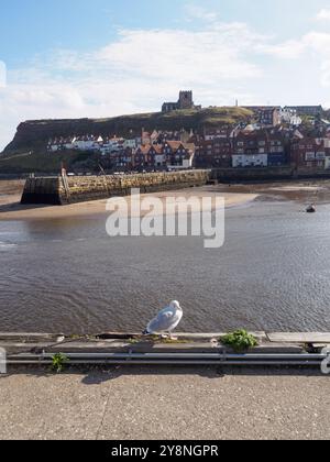 Whitby Old Town und St. Mary's Church und Tate Hill Pier Stockfoto