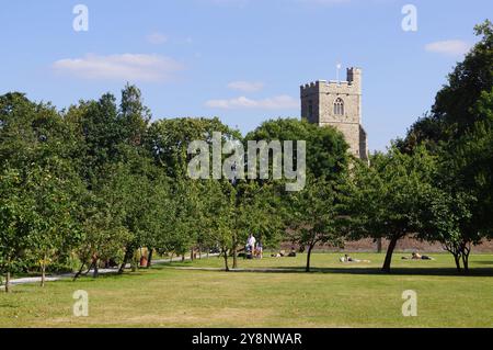 London, Großbritannien: Blick auf den Bishop's Park mit dem Turm der All Saints Church Hall im Hintergrund in Fulham Stockfoto