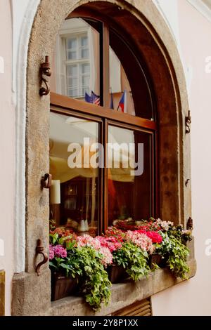 Prag. 05.11.2019: Berühmte Fassaden von Prag. Wunderschöner Balkon mit Blumen vor einer braun-orangen Wand. Wunderschöne Blumen auf der Fensterbank Stockfoto