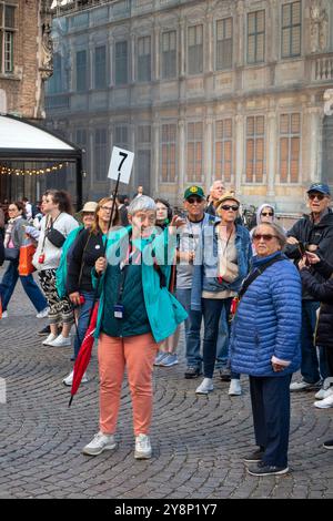 Belgien, Flandern, Brügge, de Burg, Reiseleiter mit Gruppe von Touristen Stockfoto