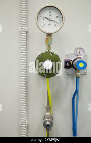 Druckventil Umwelt-Rasterelektronenmikroskop ESEM QuantaTM 250 FEG bietet Zugang zu Untersuchungen von nassen biologischen Proben, Nano-Bio-Verbundwerkstoffen und nano-fluidischen Phänomenen Untersuchungen der Echtzeit-Redoxchemie mit Nanoobjekten und die Bildgebung von Flüssigkeiten unter mikrofluidischen Bedingungen sind einige der Themen, in dem ESEM eine Schlüsselrolle spielt Stativpolitur, klassisches Ionenmahlen und Ultraschallverarbeitung sind im Labor für die Materialwissenschaft Probenvorbereitung verfügbar, CIC nanoGUNE, Nano Science Cooperative Research Center, Donostia, San Sebastian, Gipuzkoa, Baskenland, Stockfoto