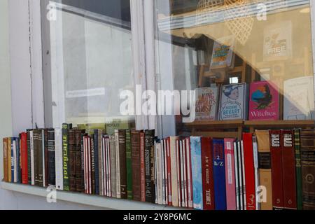 TALLINN, ESTLAND - 24. MAI 2024: Buchladen-Fenster voller Bücher Stockfoto