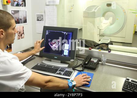 PET-CT Siemens Biograph, kombinierte Apparatur für Positronen-Emissions-Tomographie PET und Röntgen-Computertomographie CT, Nuklearmedizin, Onkologikoa Hospital, Oncology Institute, Case Center for Prevention, Diagnostics and treatment of Cancer, Donostia, San Sebastian, Gipuzkoa, Baskenland, Spanien. Stockfoto