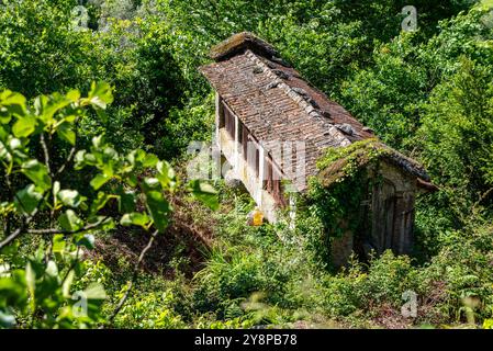 Traditioneller historischer Steinspeicher inmitten üppiger Grünflächen, der ländliche Architektur und Tradition in einer friedlichen Umgebung im portugiesischen Bild verkörpert Stockfoto