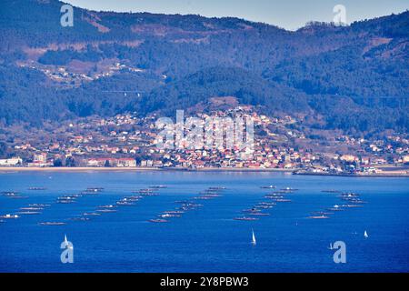 Ria de Vigo, Castillo de O Castro, Parque Monte do Castro, im Hintergrund mejilloneras und die Gemeinde Moaña in der Comarca del Morrazo, Vigo, Pontevedra, Galicien, Spanien. Die Ria de Vigo ist eine breite Mündung im Nordwesten Spaniens und gehört zur Provinz Pontevedra in der Region Galicien. Es ist ein beliebtes Touristenziel für seine einzigartigen Meereslandschaften und malerischen Landschaften. Auf der Ostseite der Ria de Vigo erhebt sich der Castillo de O Castro, ein Beispiel mittelalterlicher Militärarchitektur, erbaut vom galizischen Baumeister Fernán Pérez de Andrade zwischen dem cen Stockfoto