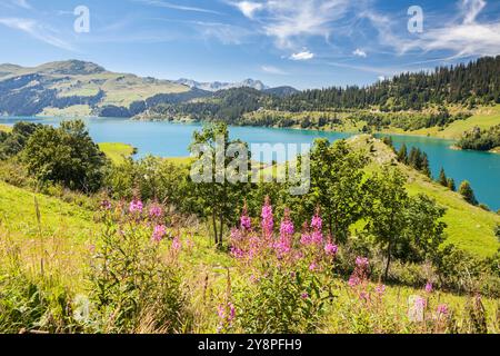 Sperrfeuer de Roselend - Reservoir - in der Nähe von Beaufort in Savoie, Rhône-Alpes, Frankreich Stockfoto