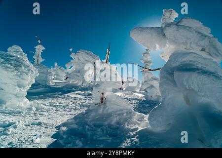 Bäume gefroren mit Schnee und Eis bei den berühmten Zao Snow Monsters in Yamagata, Japan Stockfoto