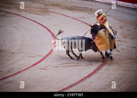 Bullen-Sprengpferd am Stierkampfring Stockfoto