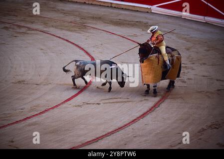 Bullen-Sprengpferd am Stierkampfring Stockfoto