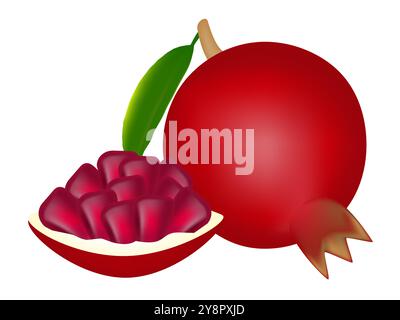 Ganze Granatfrucht und Scheibe isoliert auf weißem Hintergrund. Stock Vektor