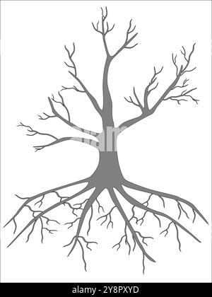 Ohne einen Walnussbaum auf weißem Hintergrund. Stock Vektor