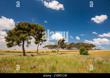 Torre Marimon in Caldes de Montbui, Barcelona, Spanien Stockfoto