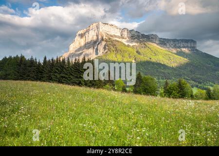 Mont Granier bei Sonnenuntergang, natürliche Parc La Chartreuse, Savoie, Rhône-Alpes, Frankreich Stockfoto