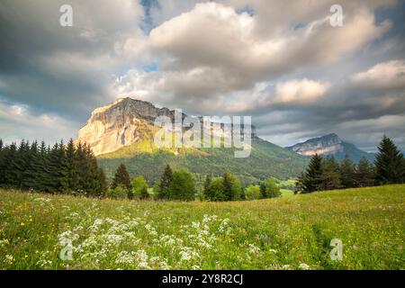 Mont Granier bei Sonnenuntergang, natürliche Parc La Chartreuse, Savoie, Rhône-Alpes, Frankreich Stockfoto