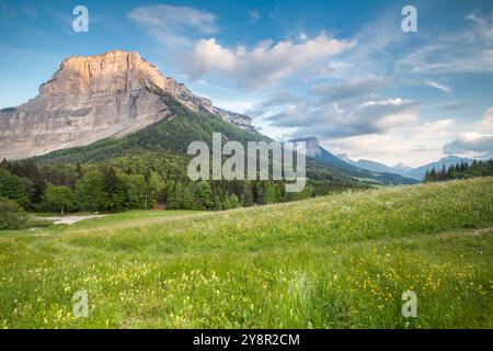 Mont Granier bei Sonnenuntergang, natürliche Parc La Chartreuse, Savoie, Rhône-Alpes, Frankreich Stockfoto