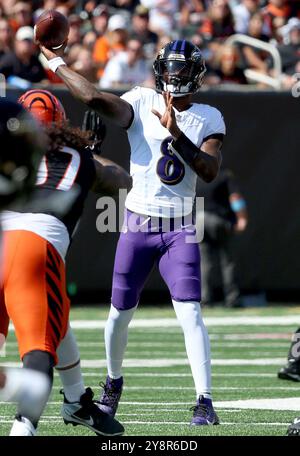 Cincinnati, Usa. Oktober 2024. Baltimore Ravens Quarterback Larmar Jackson (8) stürzt während der ersten Spielhälfte im Paycor Stadium am Sonntag, den 6. Oktober 2024, in Cincinnati, Ohio, unter Druck der Cincinnati Bengals. Foto von John Sommers II/UPI Credit: UPI/Alamy Live News Stockfoto