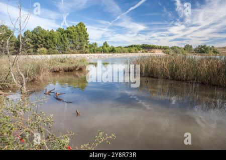 St. James Way; La Grajera Park in der Nähe der Hauptstadt Logroño, La Rioja, Spanien Stockfoto