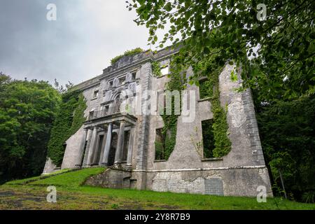 Ruinen von Moore Hall - bewachsen mit Efeu und Verfall an einem regnerischen und bewölkten Tag Stockfoto