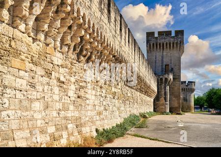 Centro histórico, Muralla Medieval, Avignon, Vaucluse, Provence-Alpes-Côte d'Azur, Frankreich, Europa. Stockfoto