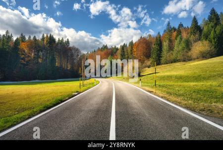 Straße, grüne Wiesen und Orangenwald bei Sonnenuntergang im goldenen Herbst Stockfoto