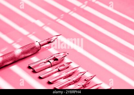 Tintenflasche mit Metallspitzen für Tintenstift auf weißem Hintergrund. Schreibwaren auf weißem Schreibtisch aus nächster Nähe von oben. Rechtschreibunterricht und Kaligraphie-Übungen. A Stockfoto