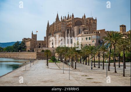 Kathedrale Santa Maria von Palma La Seu in Palma de Mallorca Rückseite der Kathedrale mit See und Park, Blick aus der Ferne, mallorca Stockfoto